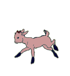 koza animowane-obrazy-gif